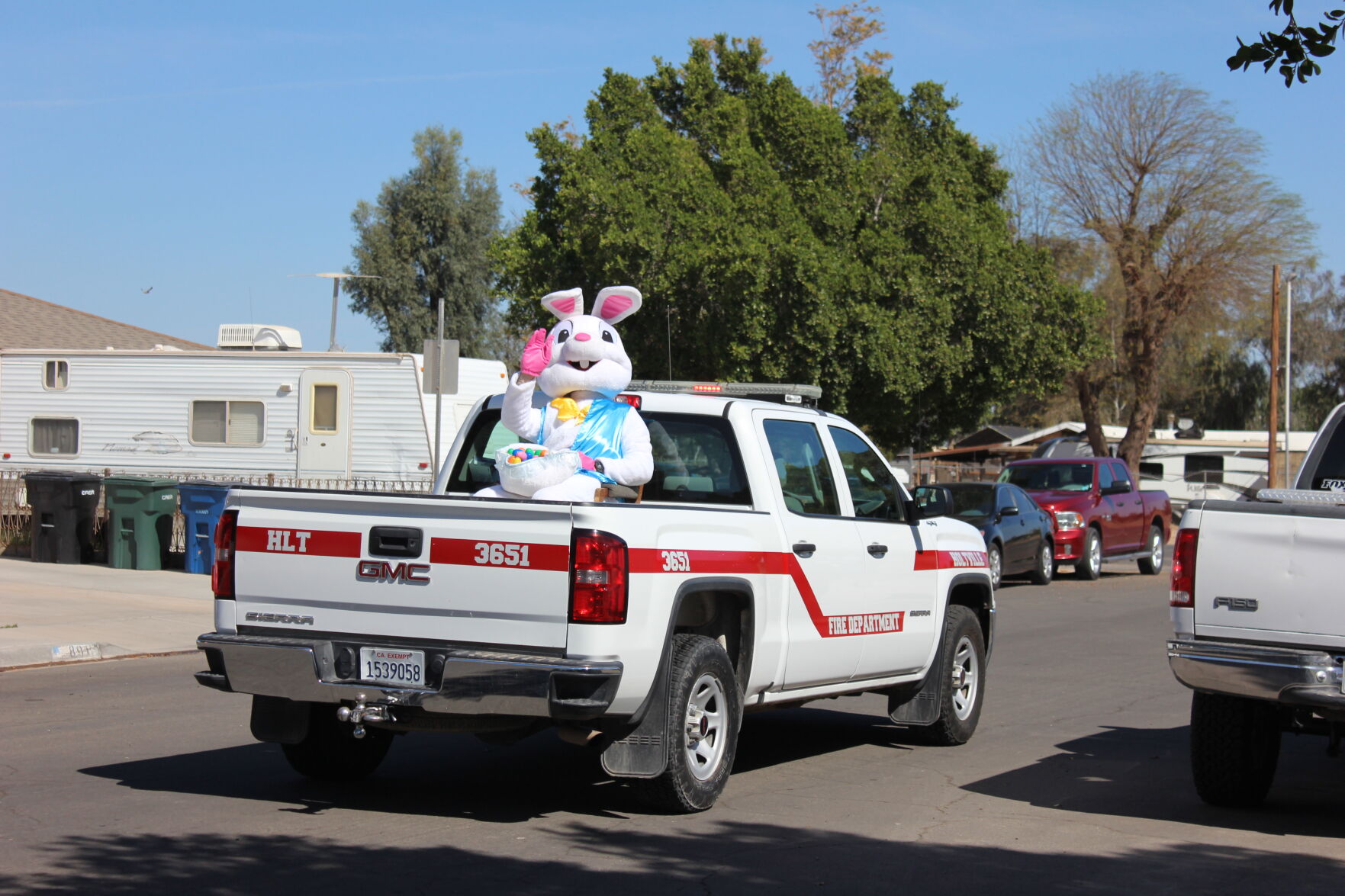 easter bunny
